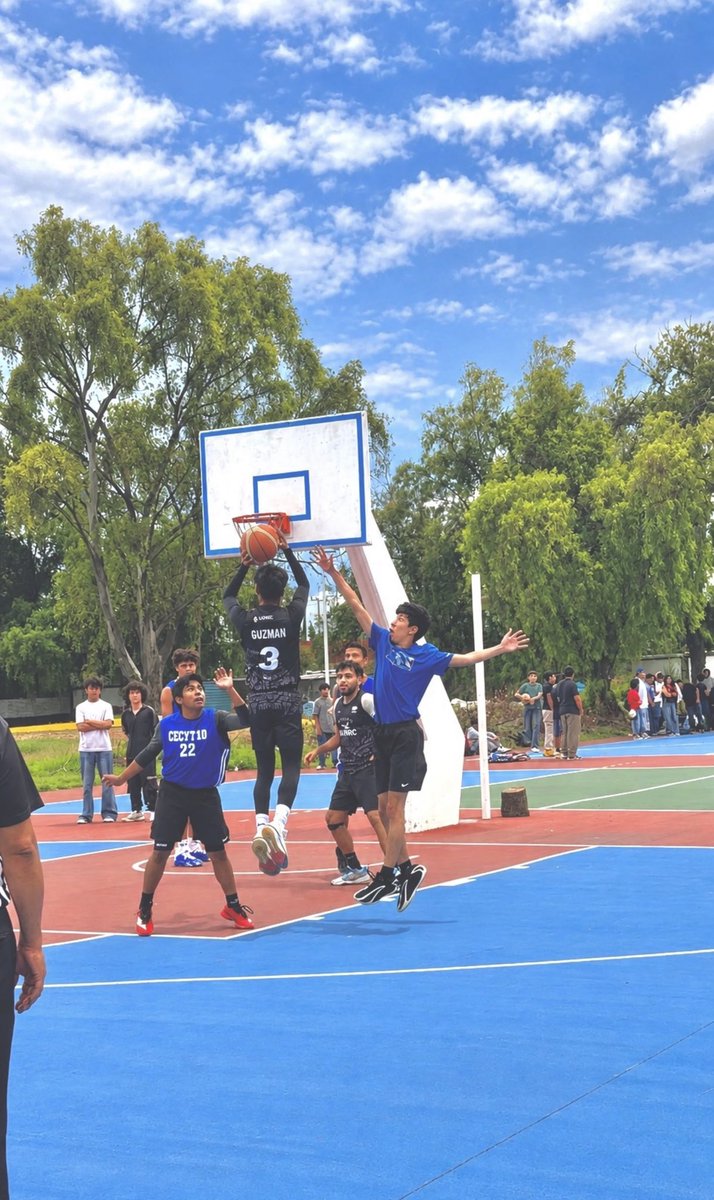 UNRCastellanos's tweet photo. 🏀 𝑻𝑯𝑹𝑶𝑾𝑩𝑨𝑪𝑲 𝑽𝑺 𝑪𝑬𝑪𝒚𝑻 𝟏𝟎 🏀

La semana pasada nuestros #AlbatrosUNRC se hicieron presentes en la cancha para disputar un emocionante partido amistoso frente al #CECyT10.💥

Con esfuerzo y mucha actitud durante los cuatro cuartos, nuestros jugadores dejaron todo. https://t.co/3KPdRVi3mV
