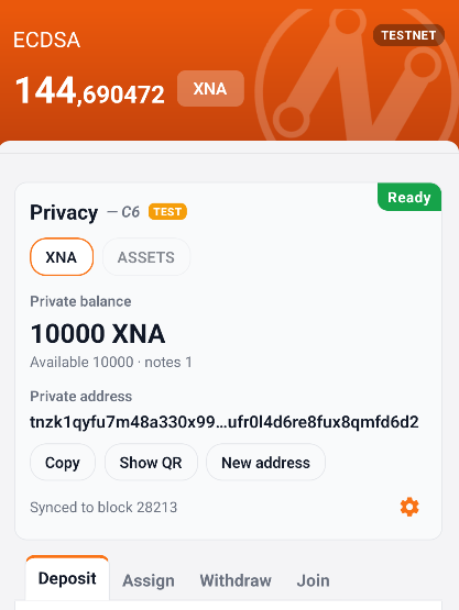 neuraiproject's tweet photo. 🥷Android Wallet: Privacy Pool
We are introducing version C6 of our Privacy Pool contract, which we are testing on the Testnet and is fully operational in the web wallet and the Android wallet.

With this option, you can store funds hidden in this privacy pool, which is verified via ZK signatures. This version of the contract includes certain capabilities to process transactions in parallel when there is congestion in the pool.

Additionally, the time required to verify the ZK signature ranges from 10 to 30 seconds, depending on the processing power of your mobile device or computer.

This test version will remain available for a while for testing, but we will be testing improved variants in the future.

Play Store: https://t.co/2OnJuUAnQw

#Neurai #XNA neurai:native #Privacy #ZK