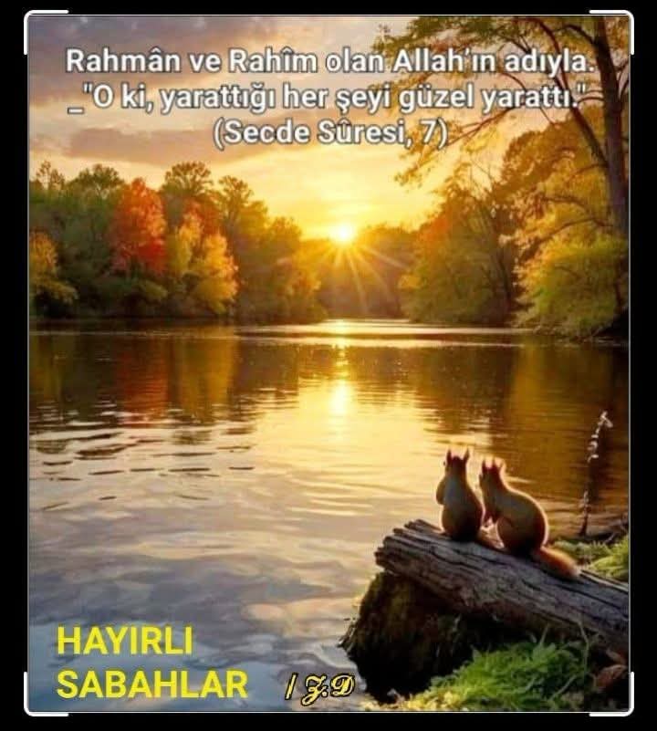 Yapar2Ensari's tweet photo. https://t.co/3DawTlc44W