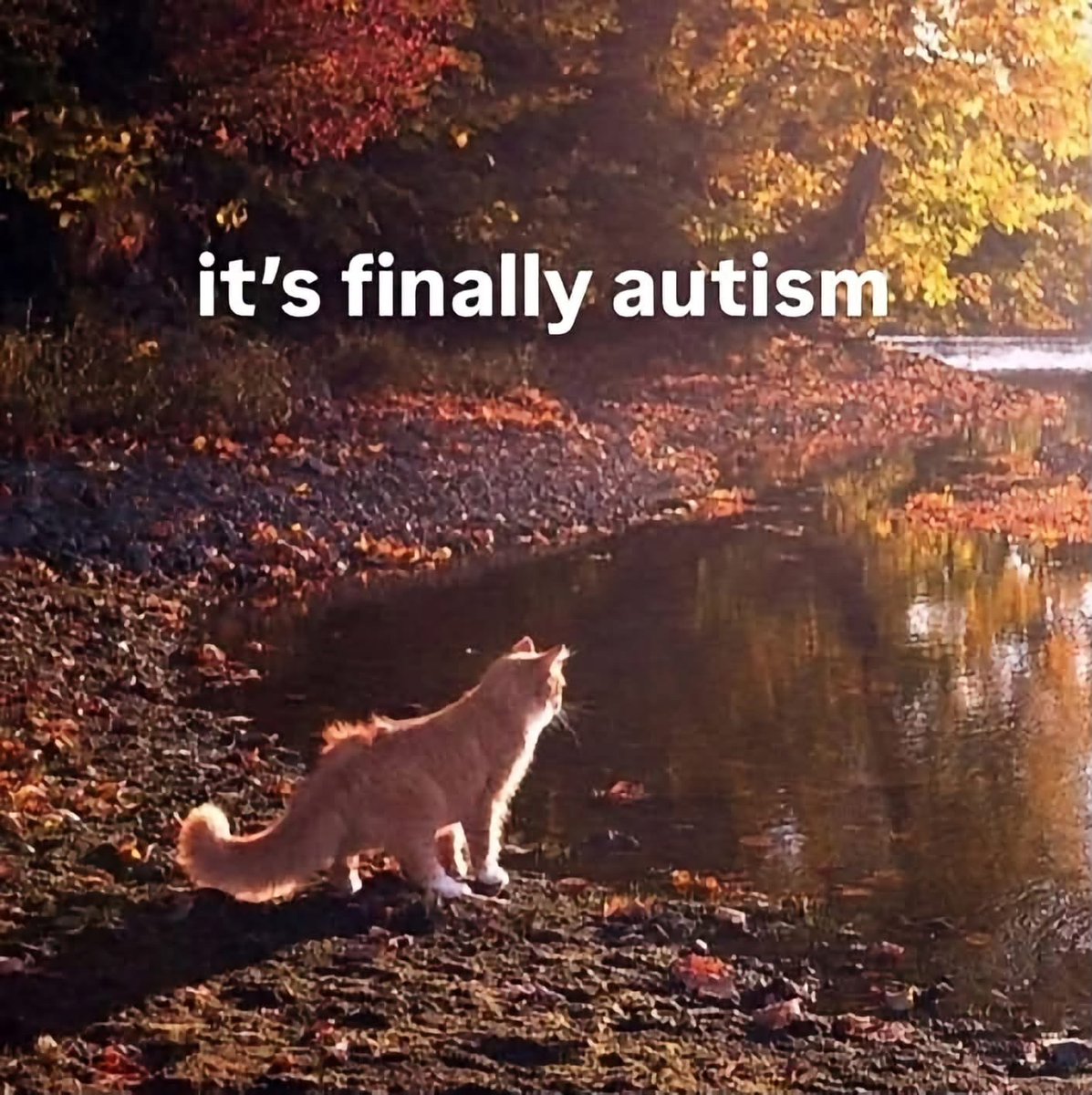 shitpost_2049's tweet photo. https://t.co/DKJg26YJNO