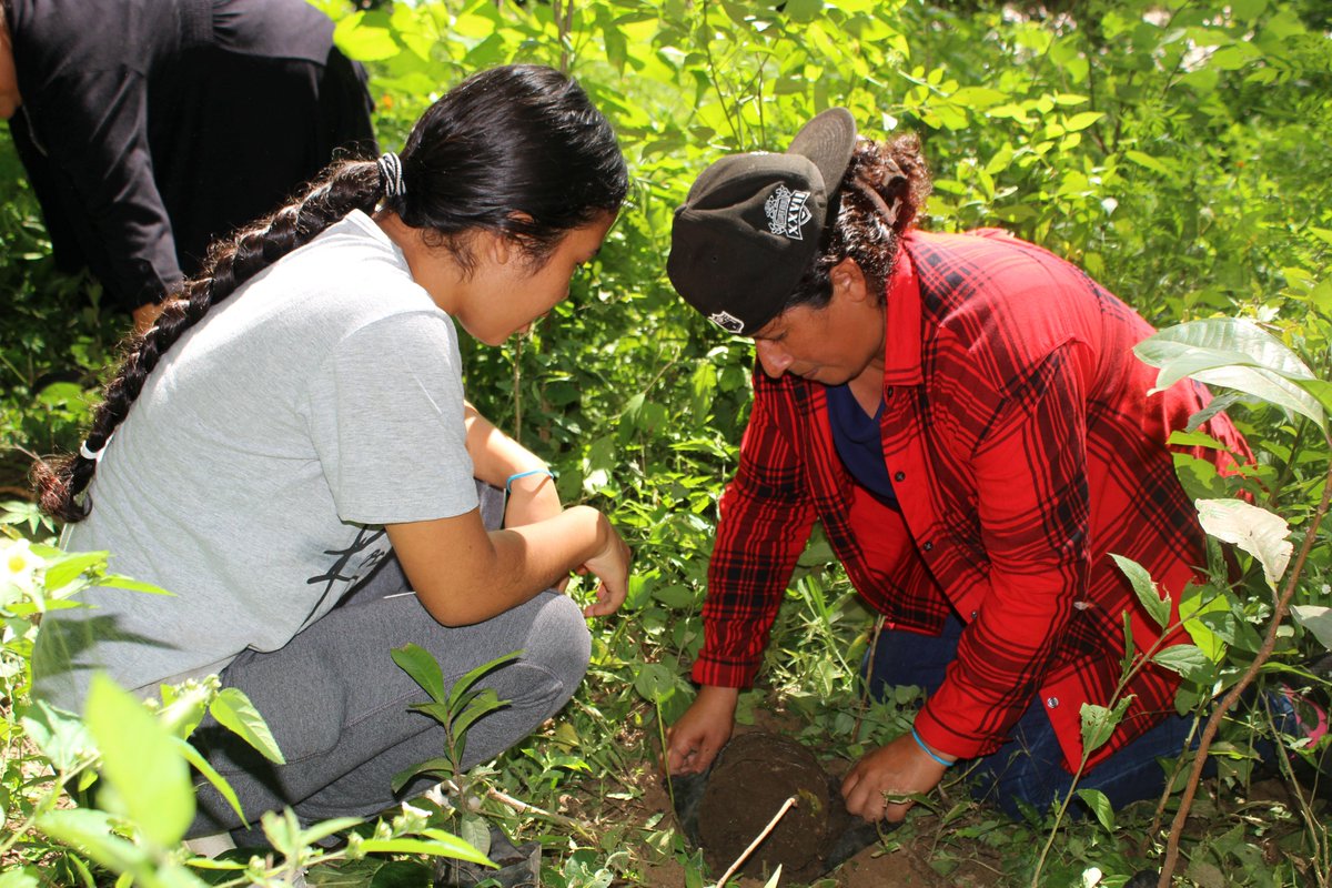 AMAESsv's tweet photo. #SembrandoEsperanza
Desarrollamos una jornada de restauración de suelos que reunió a mujeres de Coatepeque, Candelaria de la Frontera y Ocotepeque, junto a la Red de Juventudes Comunicadoras Ambientalistas. (1/7) https://t.co/wRnlEIOOIU