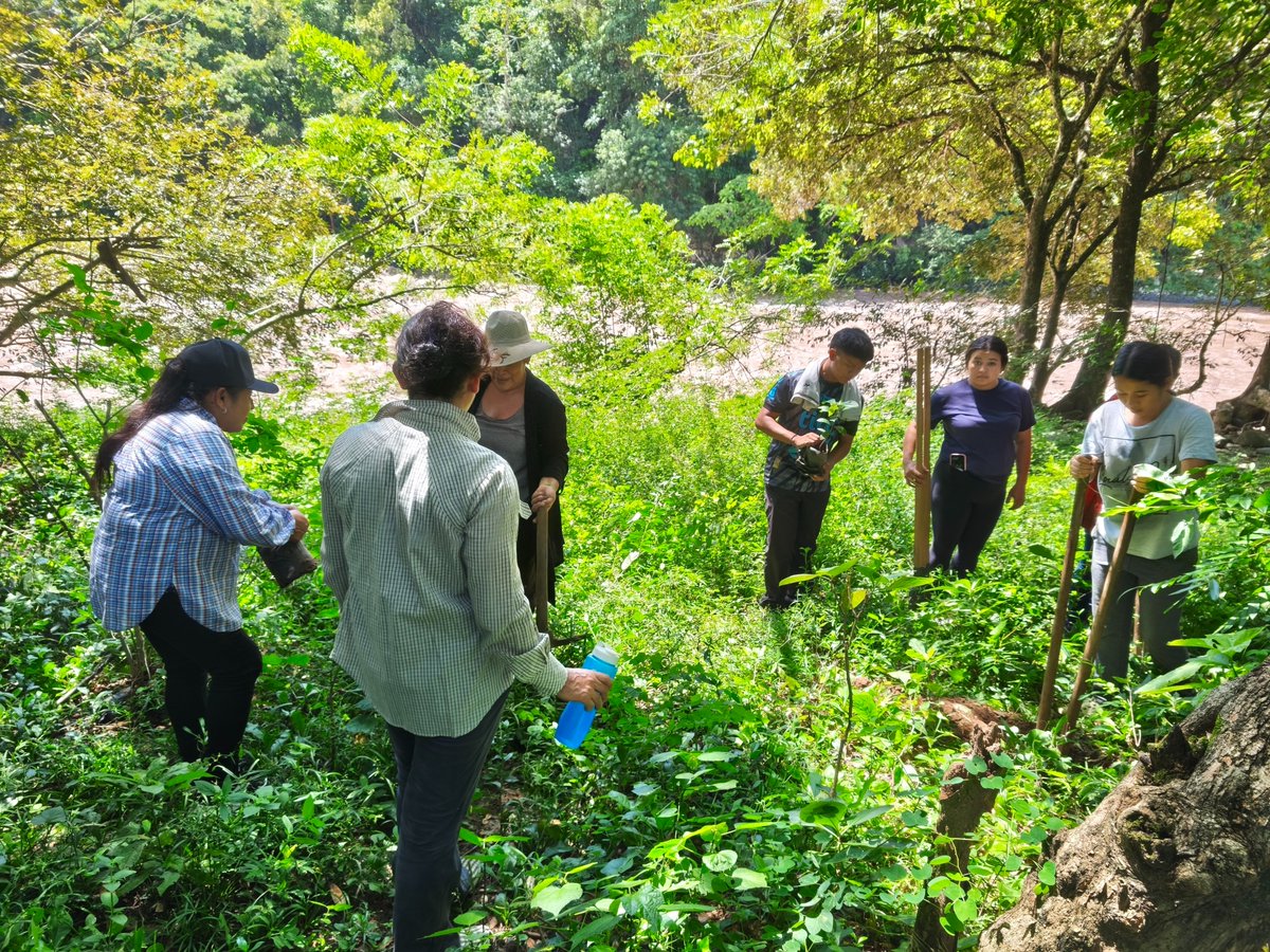AMAESsv's tweet photo. #SembrandoEsperanza
Desarrollamos una jornada de restauración de suelos que reunió a mujeres de Coatepeque, Candelaria de la Frontera y Ocotepeque, junto a la Red de Juventudes Comunicadoras Ambientalistas. (1/7) https://t.co/wRnlEIOOIU
