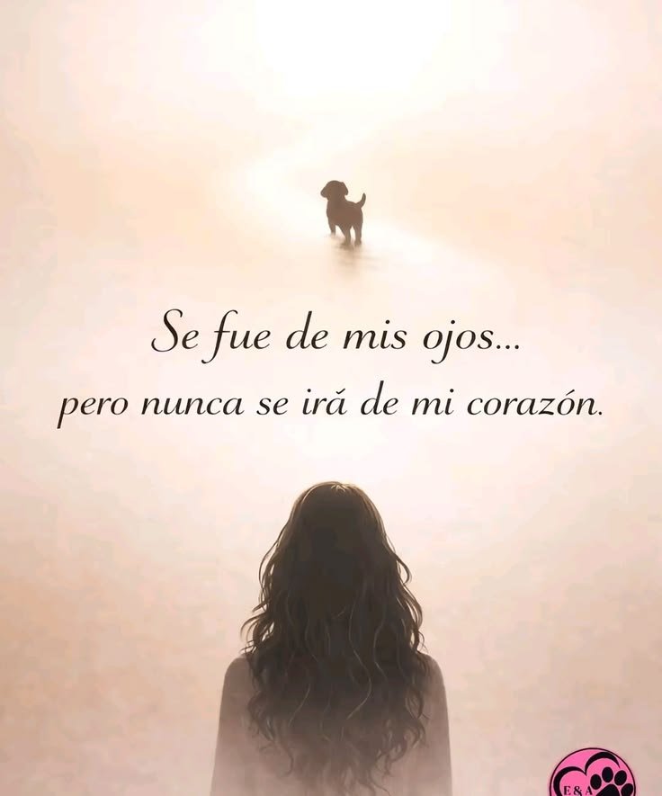 rey_latino33087's tweet photo. https://t.co/Tq7ib4XkPr