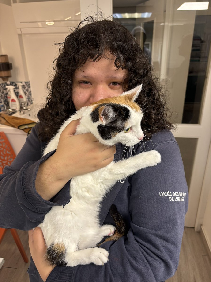 Naaeuhhpa's tweet photo. ma Gaïa nous a quittés cette après midi après 16 années passées aux côtés de ma famille 

je t’aimerai pour toujours petite sœur au pelage des neiges ❤️ https://t.co/gr1o5cSIEi