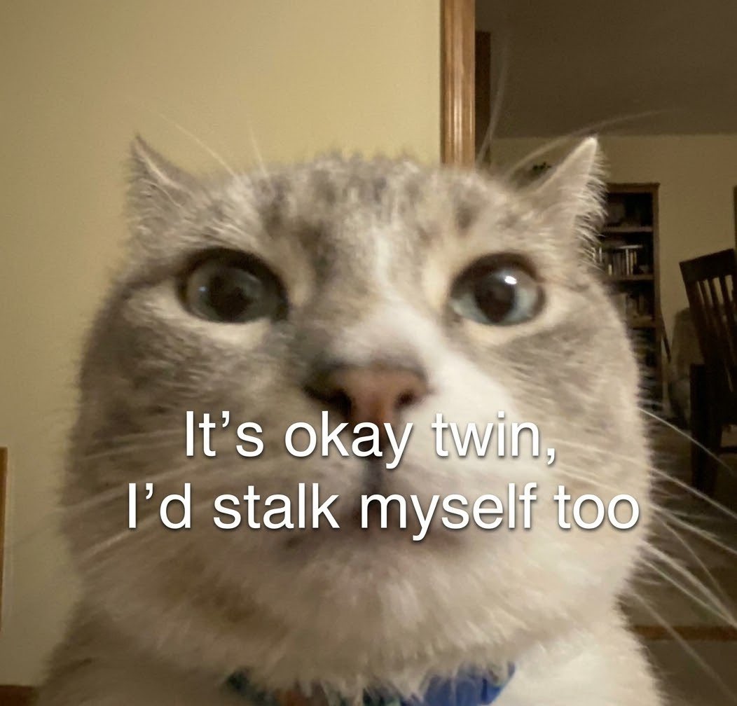 sillymeow4u's tweet photo. https://t.co/FeV7w89fg2