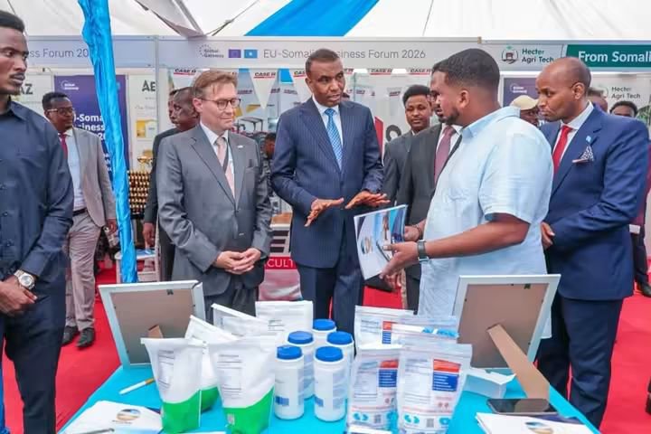 mocisom's tweet photo. @HamzaAbdiBarre @EU_in_Somalia @UNIDOSomalia @Cowater_Intl 3/3. The Ministry of Commerce and Industry, led by H.E. Minister @AmbGamal, thanks the EU &amp; all partners, exhibitors, businesses, investors &amp; participants whose engagement contributed to the Forum’s success &amp; advanced stronger Somalia–EU trade, investment &amp; economic cooperation. https://t.co/bD1YusQeTE