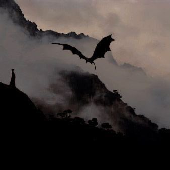 dragonisms_'s tweet photo. 𓆰

    ɪғ ʏᴏᴜ ᴄᴀɴ’ᴛ ʜᴀɴᴅʟᴇ ɪᴛ
         — ʏᴏᴜ ᴡɪʟʟ ᴅɪᴇ
            ——————

✗ ᴄɪʟʟɪᴀɴ ᴄᴀʀᴅᴜʟᴏ 

ʙʀᴏᴛʜᴇʀ ᴛᴏ ɪᴍᴏɢᴇɴ • ᴛʜɪʀᴅ ʏᴇᴀʀ 
• ʀɪᴅᴇʀs ǫᴜᴀᴅʀᴀɴᴛ

               ↺ | 𑣲 https://t.co/djE0I2M7wl