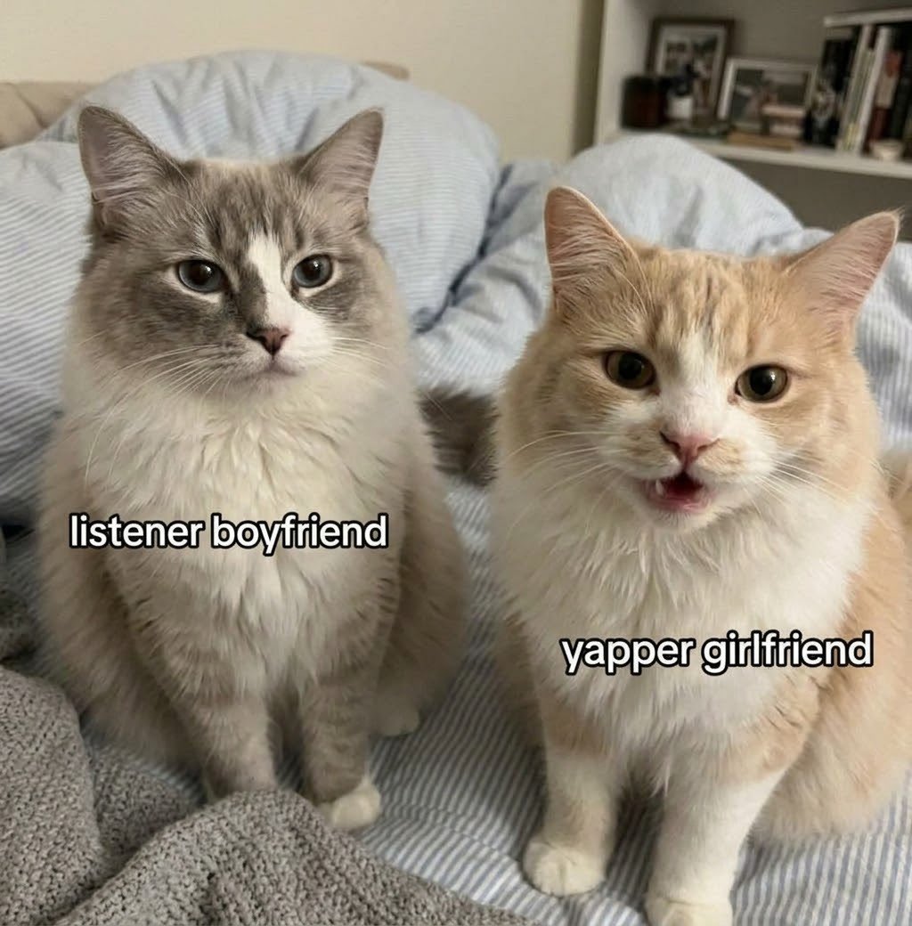 sillymeow4u's tweet photo. https://t.co/m6r4Hawcok