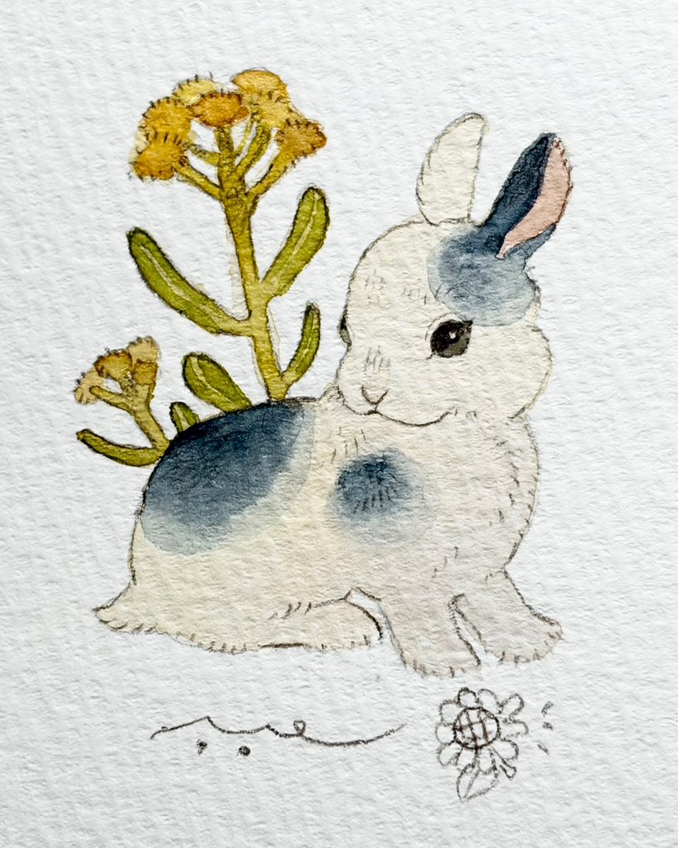 先日ご質問のあった画用紙に水彩イラストを ぶち:「サンフラワーM