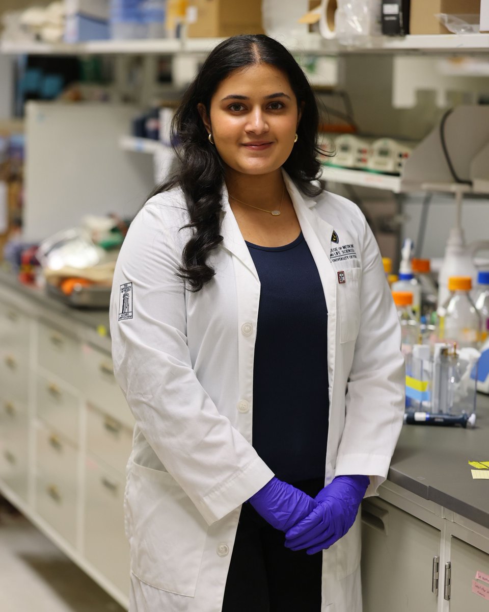 UToledoMed's tweet photo. Neuroscience senior Sampriti Senapati is contributing to federally funded Alzheimer’s disease research in the laboratory of Dr. Robert Smith, professor and chair in the Department of Neurosciences and Psychiatry.

Read more in UToledo News: https://t.co/nk1pqP3JTb https://t.co/Rdi94kfs7n
