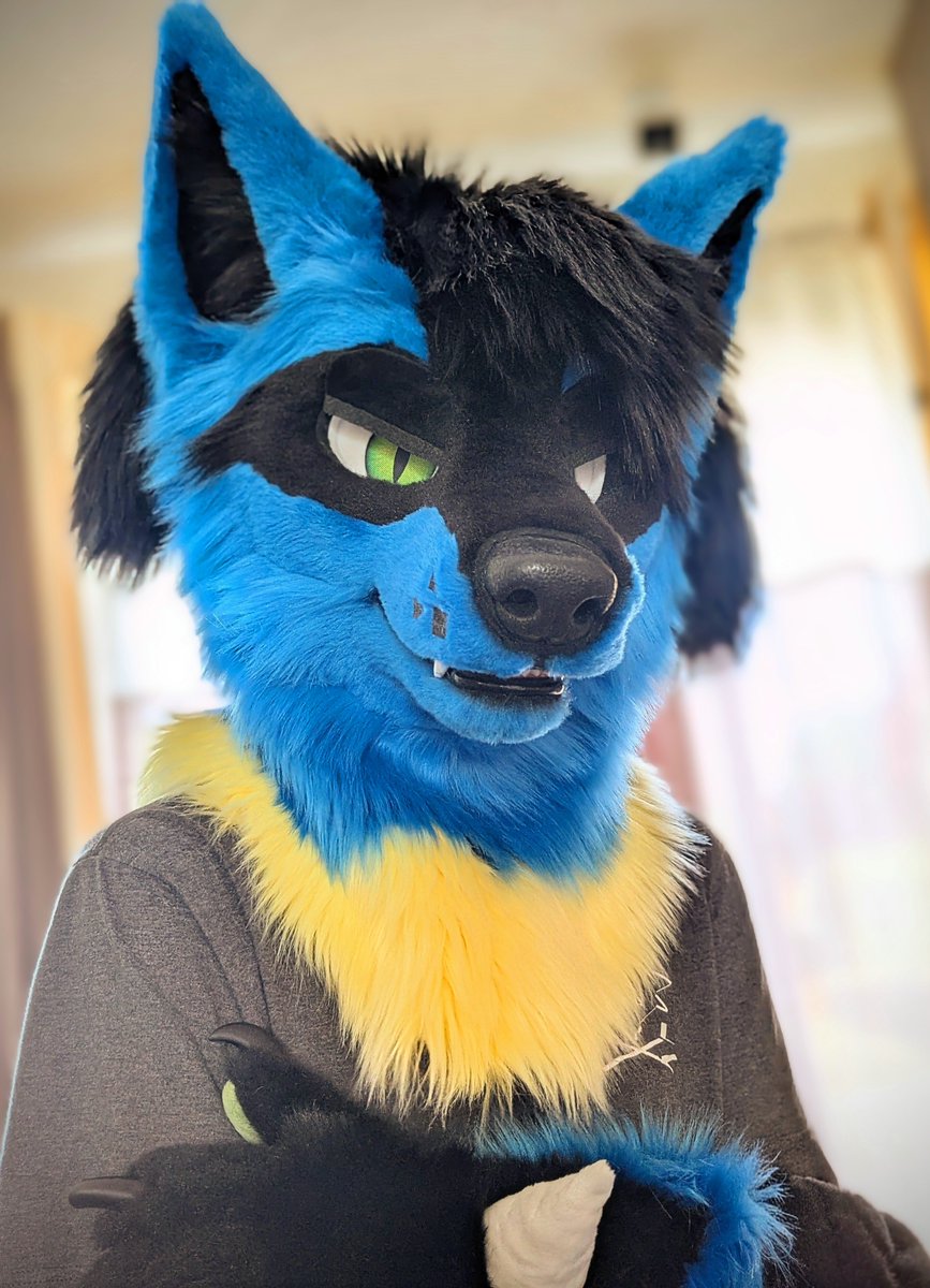 AlexTheAuradog's tweet photo. Can I stop you a moment, and talk about the Lord and savior Lucario ?👀
#Lucario #furry https://t.co/hlbjJI0ueU