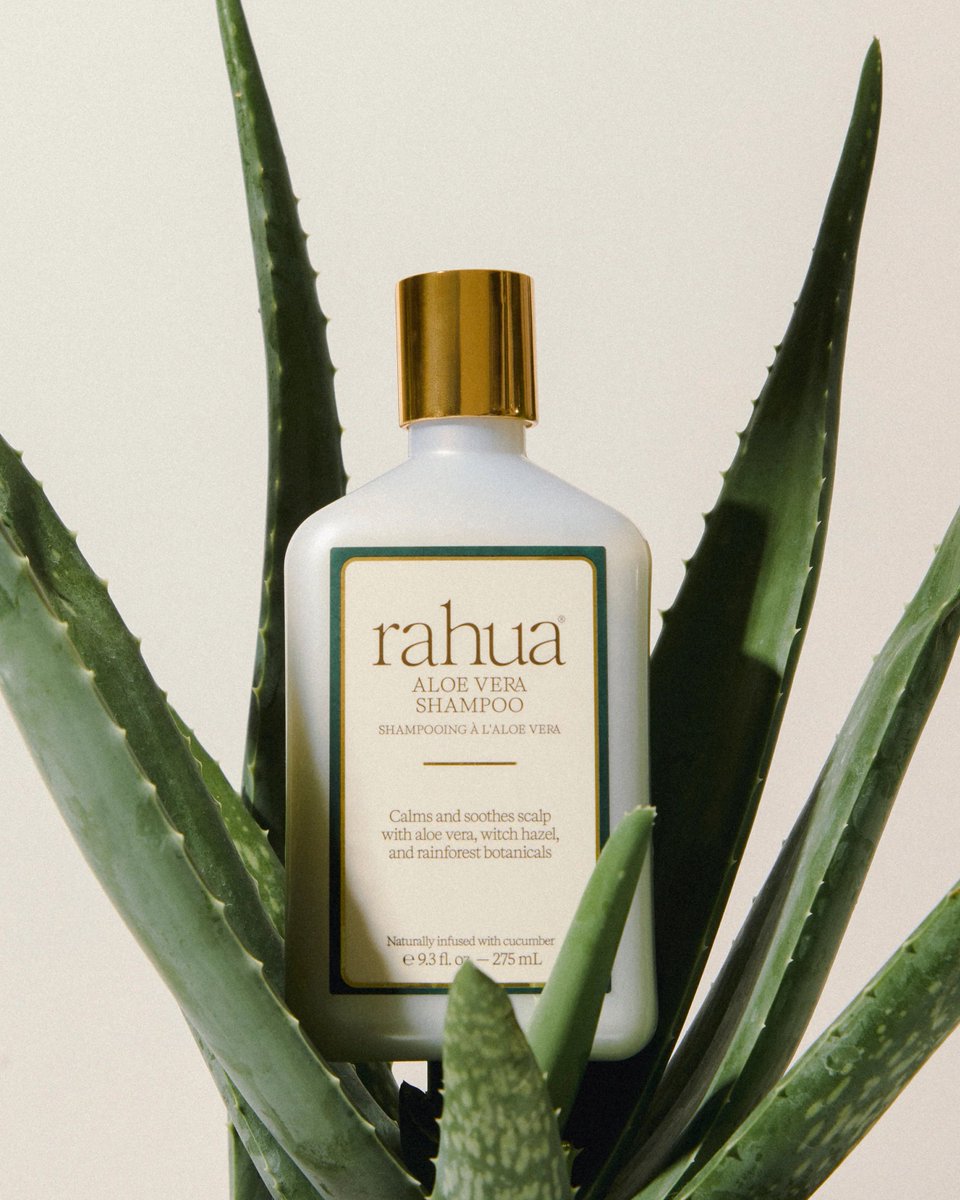 IntegrityBotani's tweet photo. Your scalp deserves some Fall care too 🍂 Meet Rahua's Aloe Vera Shampoo + Conditioner, a soothing duo for sensitive scalps. Aloe, cucumber and Amazonian rahua oil calm, hydrate and balance, leaving hair soft and bouncy without weighing it down. https://t.co/ejh6W0lGY1 https://t.co/l5qz34mpeR