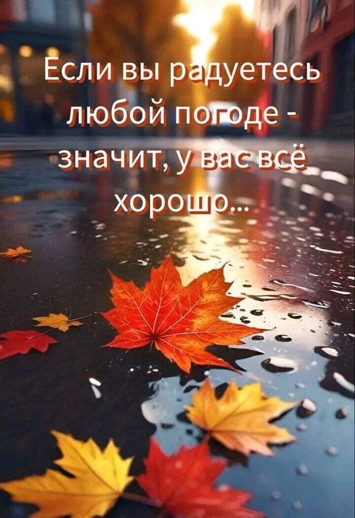 Orhan63831152's tweet photo. Good evening, everyone...🍁🍂 https://t.co/tEDOAjLEYG