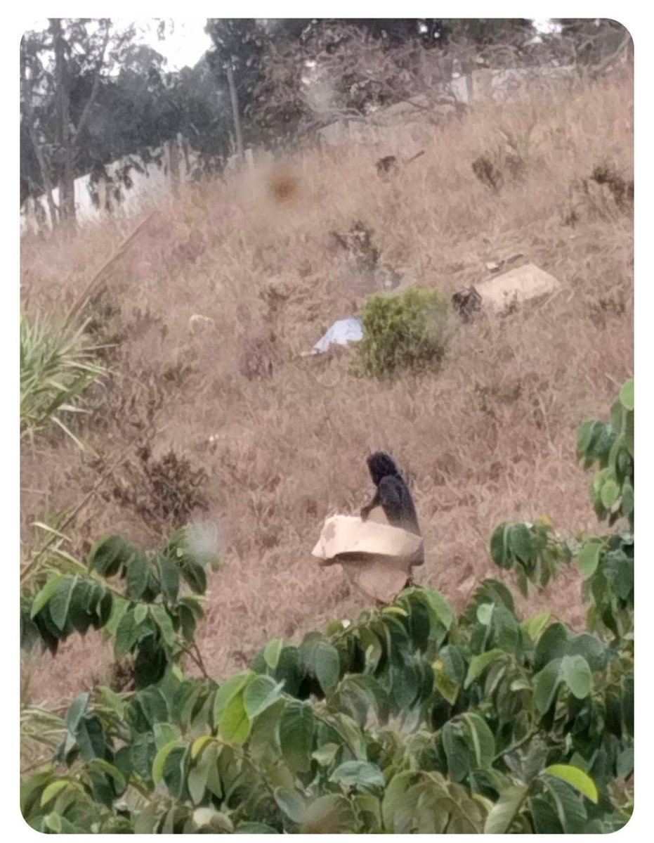 antifazcaballa's tweet photo. Se ha visto al Yeti en los montes de Ceuta, si alguien lo ve, no haga ruido, no lo moleste, no se mueva y él seguirá su camino.

Manda cojones que nos tengamos que tomar la invasión con humor y más cojones aún que sigan habiendo invasores 70 días despues.

CEUTA NO SE VENDE https://t.co/btKi7TfhXa