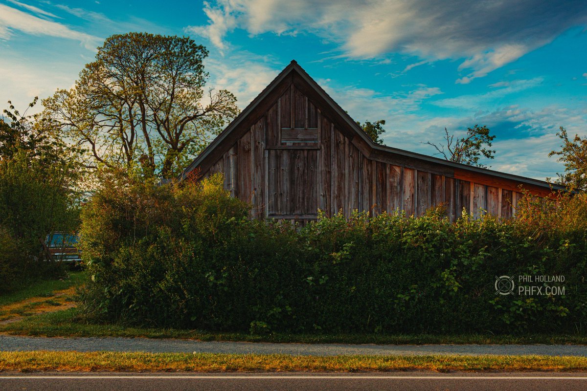 phfx's tweet photo. 𝗧𝗿𝗶𝗰𝗸 𝗼𝗿 𝗧𝗿𝗲𝗮𝘁𝗶𝗻𝗴? Or retreating? Behind the overgrowth was a dwelling, all boards, no windows, perhaps a barn, strange roof line either way, but also a Jeep Wagoneer that hasn't escaped the confines of that driveway in some time, yet immaculate condition as if not touched-yet-loved. Knock for candy? Perhaps another time.