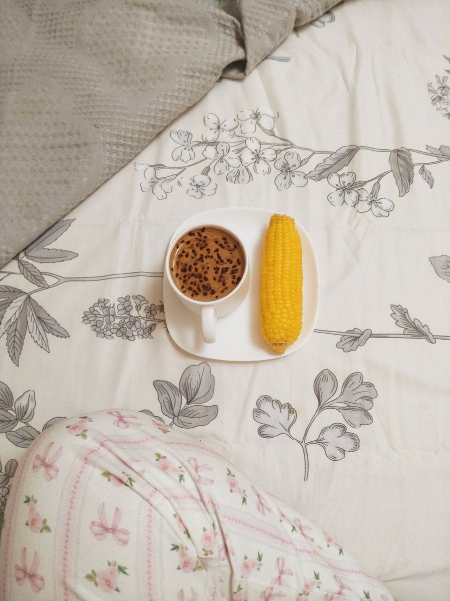 lolycatch's tweet photo. hit a cold bath, made coffee n corn, my bf cooked dinner, AC on 16.. started journaling today, IDK what mess I just created, but lowkey it kinda ate for a first attempt :D
دلوقتي هنام في سلام https://t.co/mcCYQ9vXuh