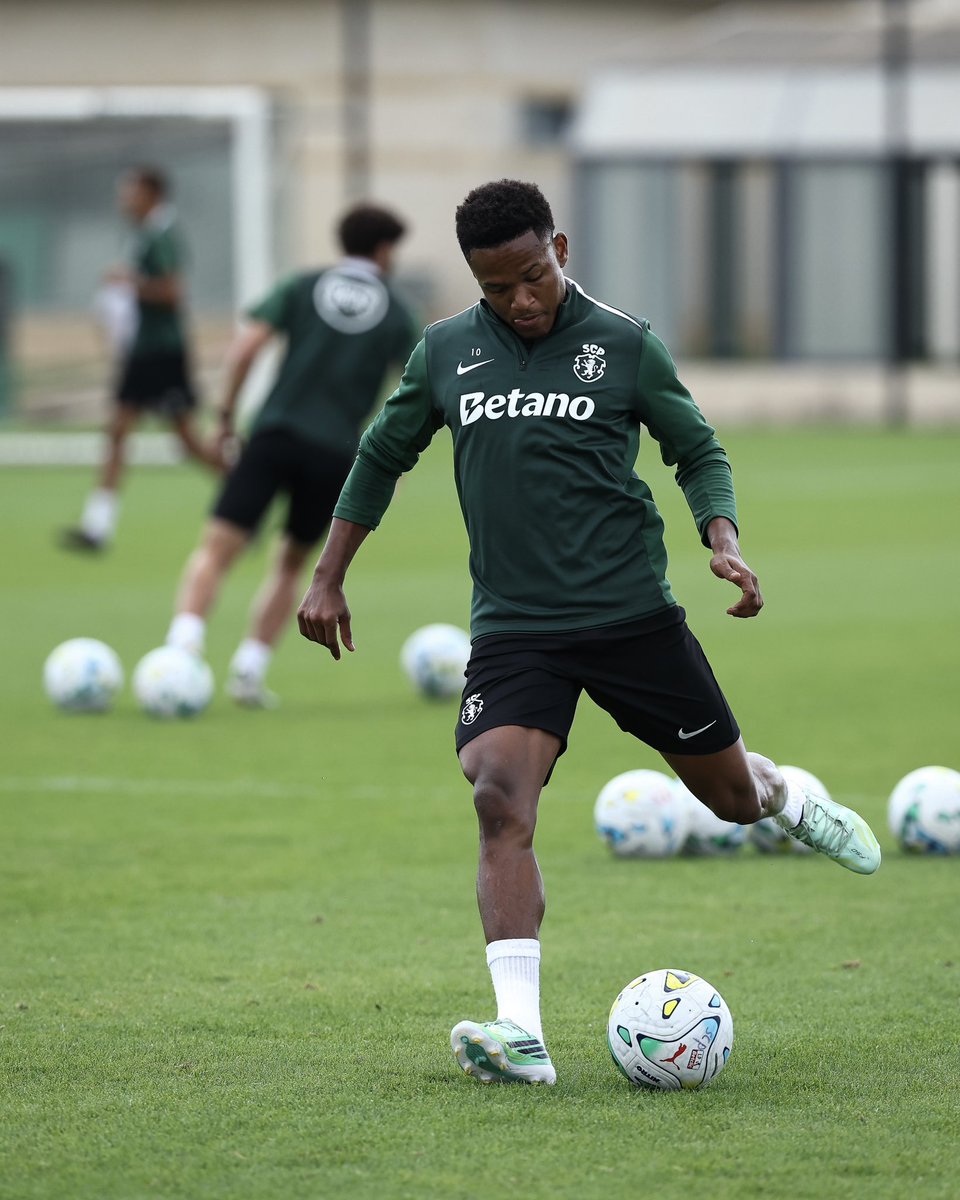 SportingCP's tweet photo. 🧠 𝐅𝐎𝐂𝐎 𝐓𝐎𝐓𝐀𝐋 no #SCBSCP ⚔️ https://t.co/tEAKf8opWW
