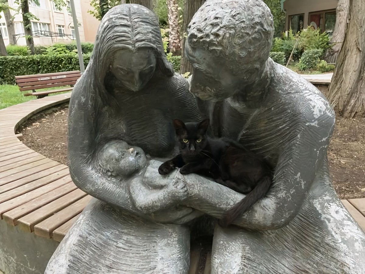 TuTuiluv's tweet photo. 世界是小猫的摇篮 https://t.co/PeUe3rLD83