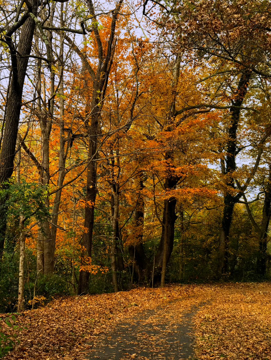 ACC_National's tweet photo. Autumn in America. https://t.co/MGO2aCtVq3
