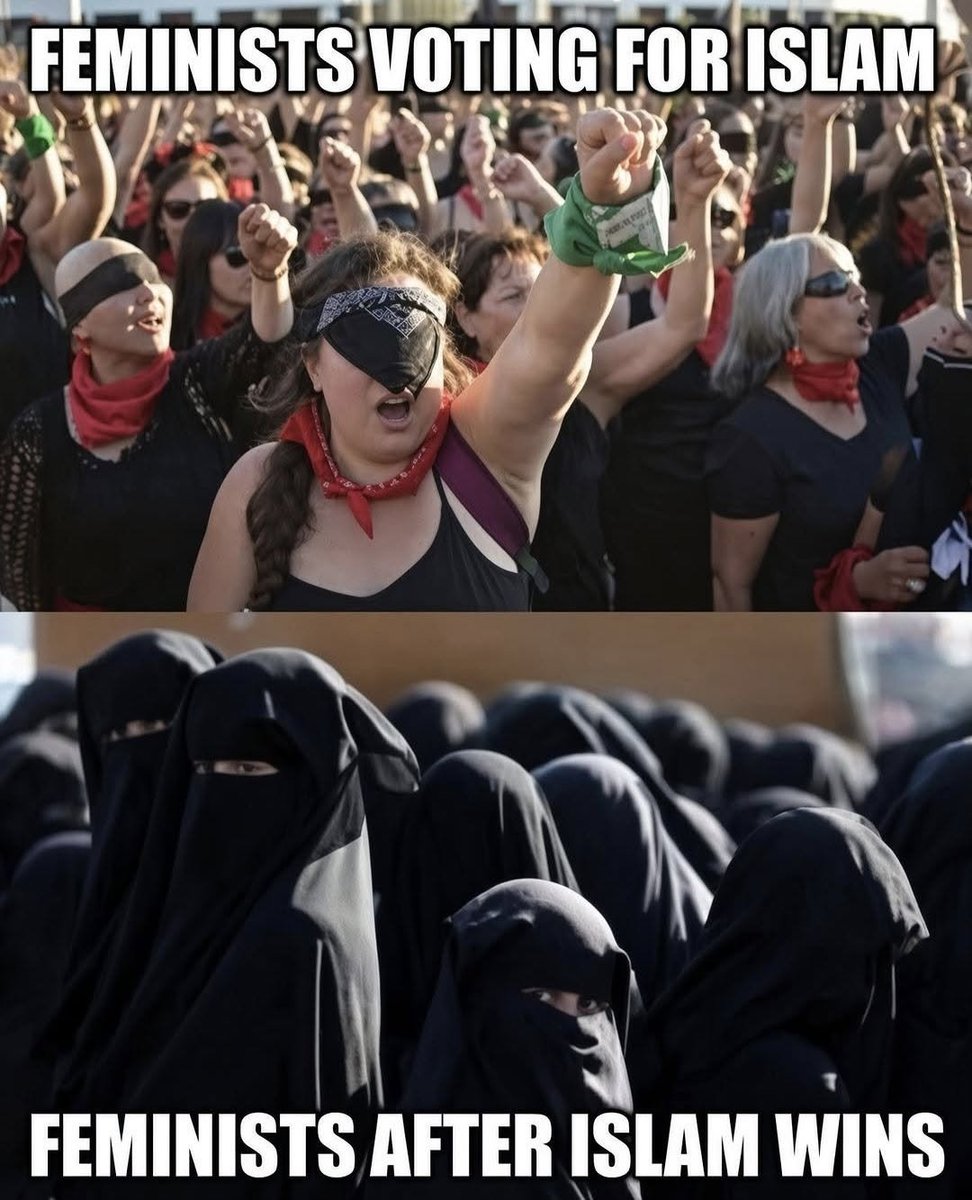 RoseNes2907's tweet photo. @Ricarda_Lang Ricarda, Sie haben so schön abgenommen, wollen Sie sich jetzt wirklich #Islamisten zuwenden und bald vollständig verschleiert durch Deutschland laufen? https://t.co/bbQtuVwtE6