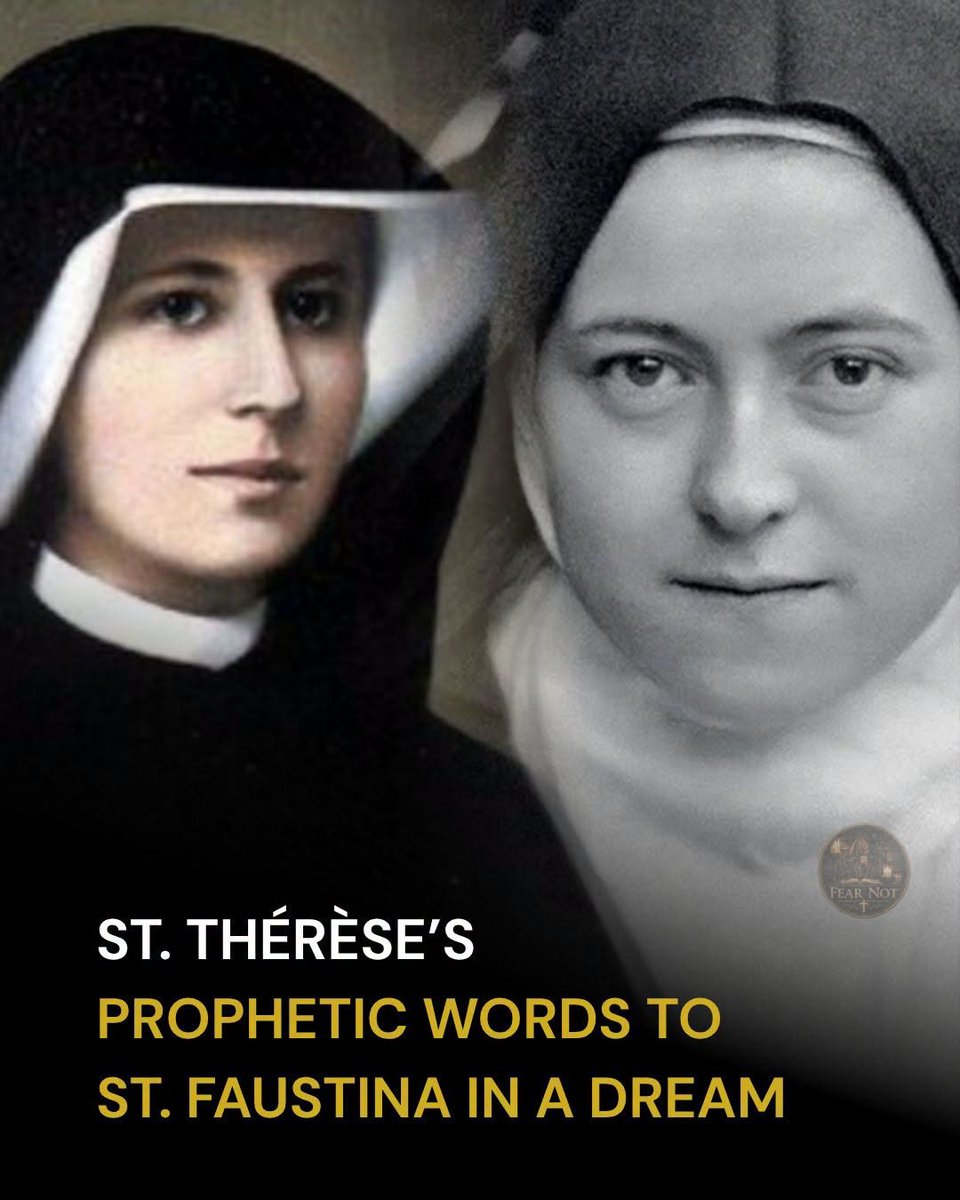 Jsmum46's tweet photo. St Faustina prayed to a variety of saints for help, but didn't receive any consolation.

Then she prayed to St. Thérèse.

St. Faustina writes about the dream in her Diary, explaining how she saw St. Thérèse on the 5 day of her novena:

"On the 5th day of the novena I dreamt of 🧵 https://t.co/kGdt18L2wV