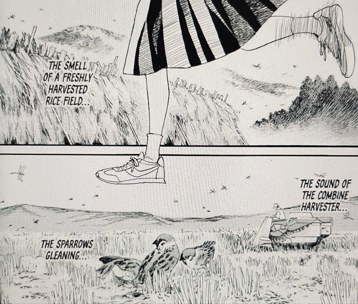 SaveMizuchi's tweet photo. Some of my favorite things in #Noragami were the backgrounds and nature scenery. I’m glad to see those kinds of beautiful panels again in #YadoInu /#TheWolfatMemorysEnd. https://t.co/UJISXTb8bK