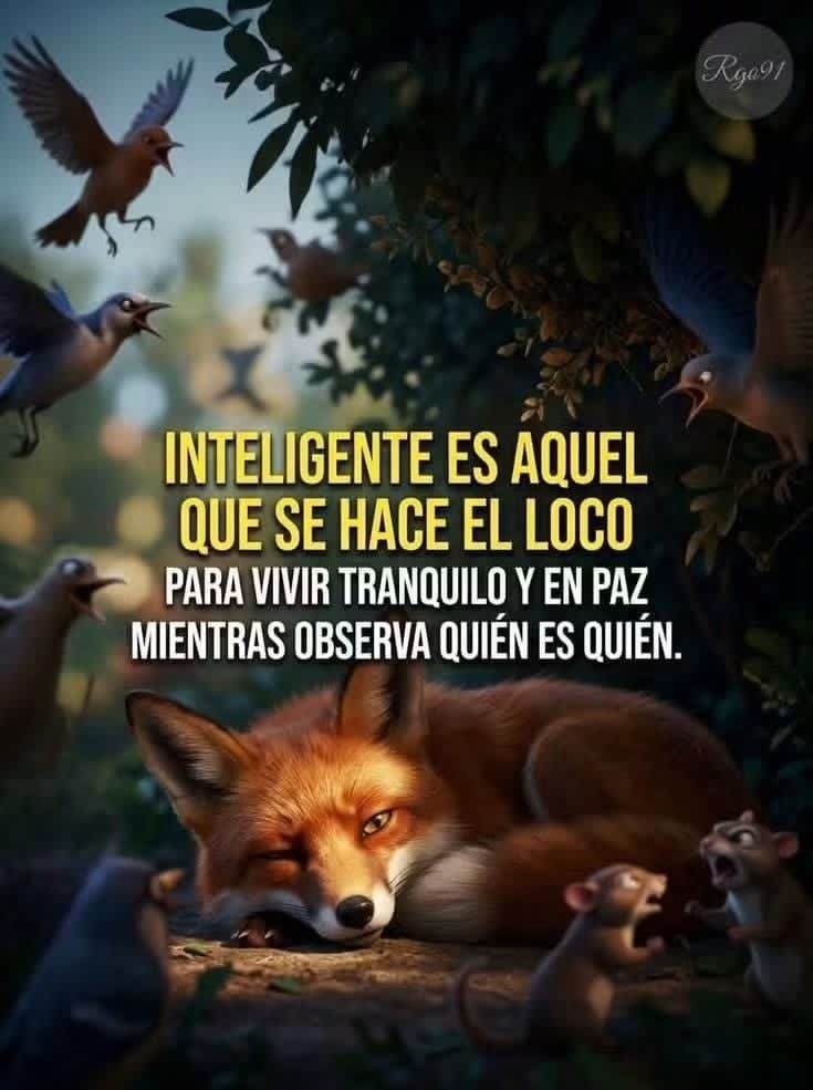 JorgeLuisRR1963's tweet photo. ESO ES CORRECTO https://t.co/E25ZGBfP1R