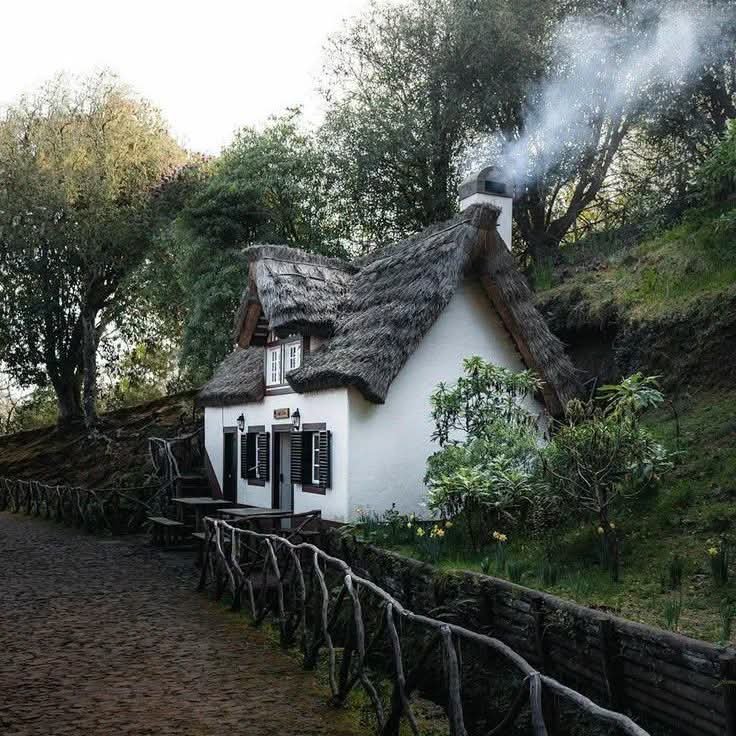 cutestcottages's tweet photo. 🧹 🌿 https://t.co/l5P4Z6XV51
