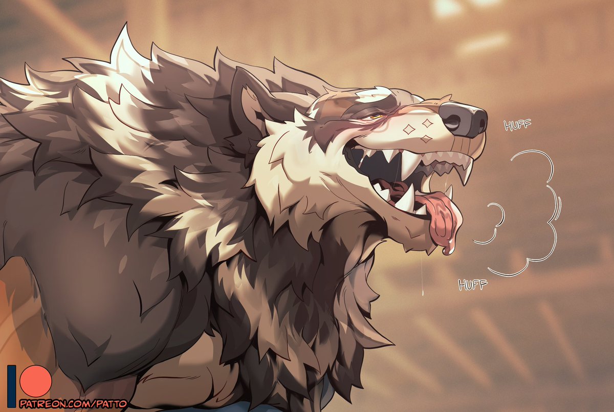 PattoArts's tweet photo. Preview of Gauss's commission, what a good boy! https://t.co/svt0bD5dPL