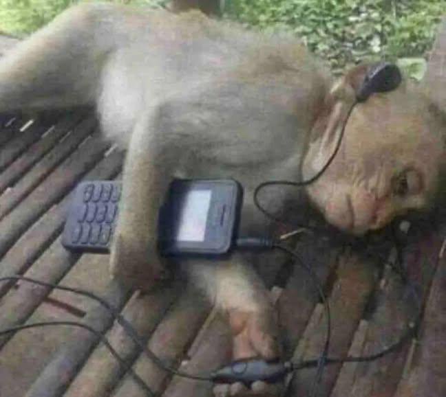 hormiverse's tweet photo. Yo escuchando música triste porque algo tengo, no sé que tengo pero algo tengo. https://t.co/nMgsX3F6U9