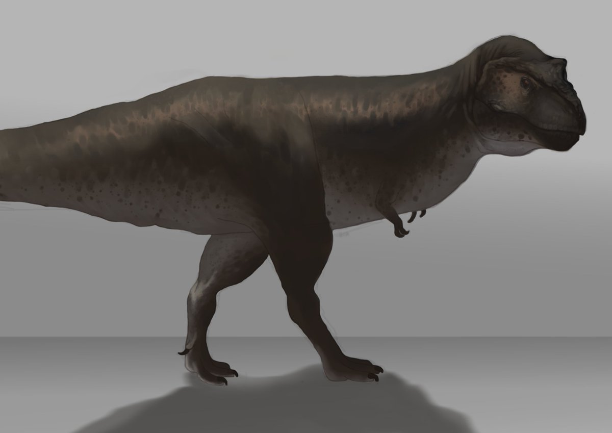 TotallyNotVermi's tweet photo. Practice piece

Happy 121st Birthday to the tyrant king! (T. Rex)
#paleoart https://t.co/w02tDrgGiu