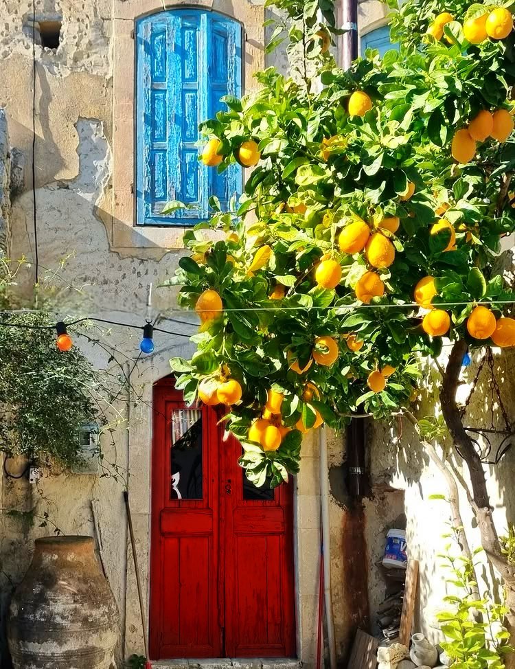 Arianalemontree's tweet photo. Mediterranean Daenerys aesthetic. #DaenerysTargaryen https://t.co/fzX2oFdMtg
