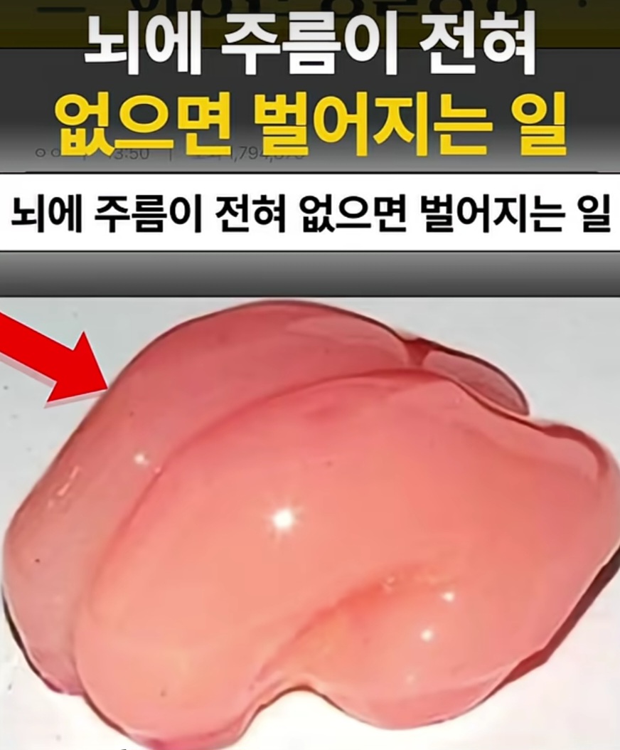 Alchive_S1's tweet photo. 뇌존나녹아서 터져서사라짐수고하세요 할 힘도안남음 https://t.co/fWyh22DoSE