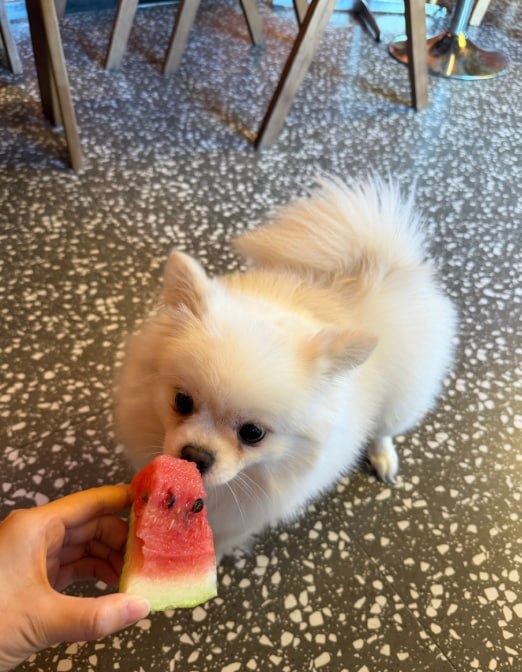 Rnic_Dwill's tweet photo. If you don't feed it, it gets sad.😂 https://t.co/IfeJT5E7an