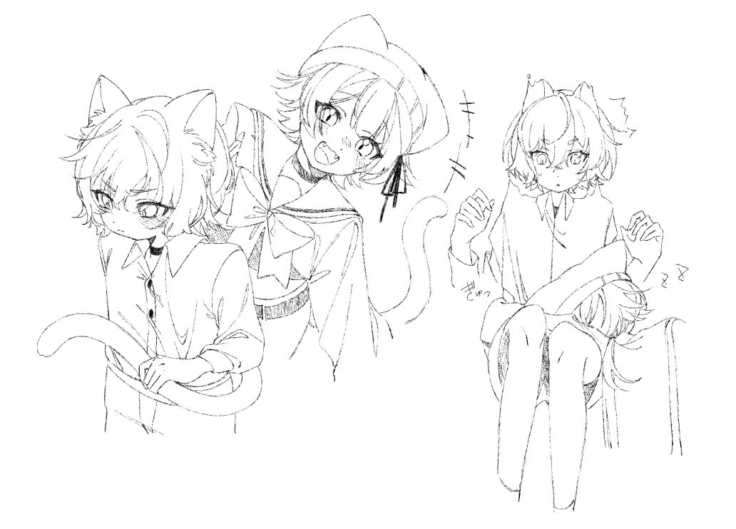 hk9k_hb's tweet photo. 仲良くなる前のにゃんず https://t.co/02RFzBSypt