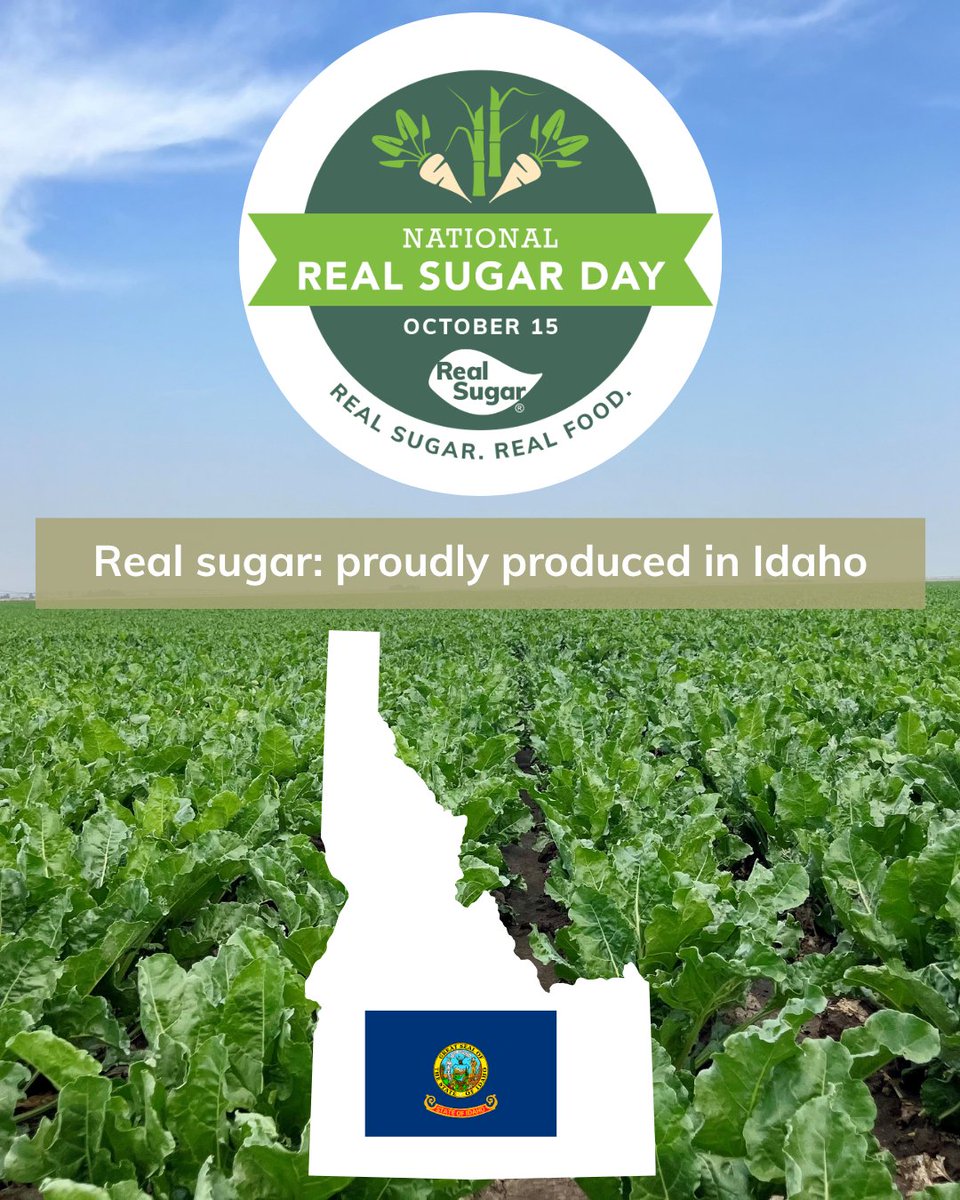 RepRussFulcher's tweet photo. Happy #NationalRealSugarDay! Idaho is the nation’s second-largest sugarbeet-producing state, and more than 500 grower families help power a $1 billion industry that supports jobs, rural communities, and American-grown sugar. 🌱🍬 https://t.co/SYcU3gnGFJ