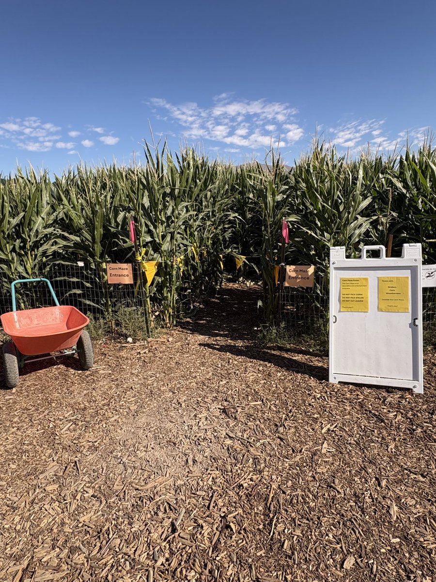G_M_4lif3's tweet photo. Heh… Corn maze? Don’t mind if I do… 😈 -💗 https://t.co/XNHXbLIggN
