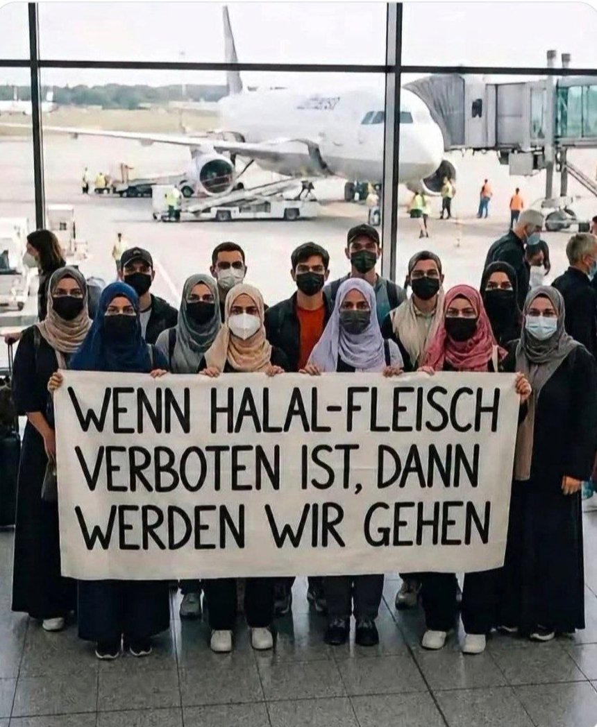 unbelehrbarrat's tweet photo. Es zu verbieten, Tiere qualvoll sterben zu lassen wäre eine Win Win Aktion  !
Also bitte liebe Tierschutzvereine, tut mal endlich was  ! https://t.co/dfkmNvrnNK