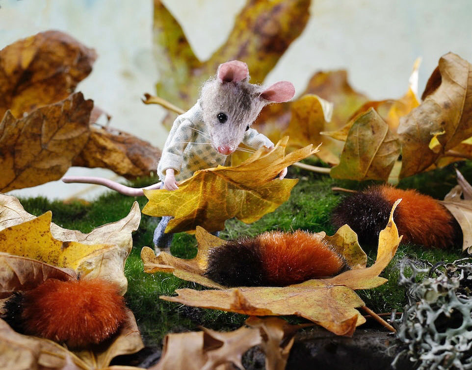 magrudy's tweet photo. Tucking in the woolly bears https://t.co/7mOLgaq7LO