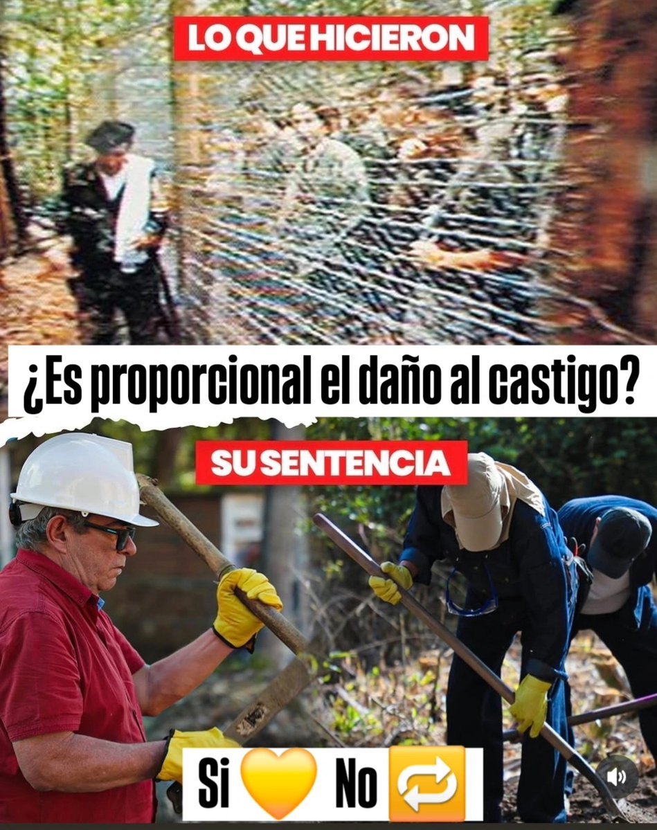 conejoblanco77's tweet photo. ¿Es proporcional el daño al castigo?
7 años de jardinería y pensión de congresista

🔁 No, por eso hay tanto delincuente
💛 Si, peor es nada https://t.co/BhPY7HvyRg