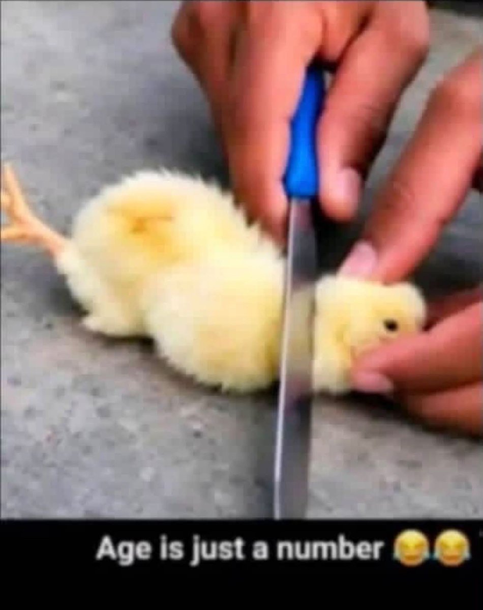 RANDOMBOY___NG's tweet photo. You dey shout,, shey you self no dey chop egg ? https://t.co/Zsfr5u5S3d