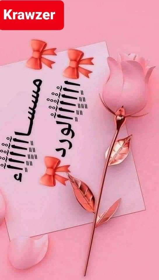 Mustafa32749207's tweet photo. @MajidH69512 https://t.co/YYWwPHjpl1