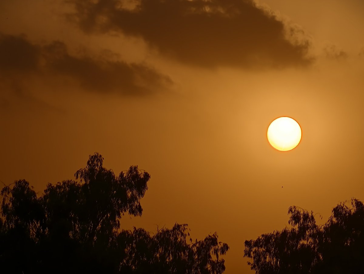 Khuram_'s tweet photo. Golden Hour in Bhakkar https://t.co/uMdWz2YWnJ