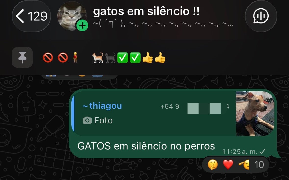 vallbedumb's tweet photo. me pusieron de admin en un grupo de gatos em silêncio y me hicieron callar no se como sentirme https://t.co/uGx9KmVHVQ