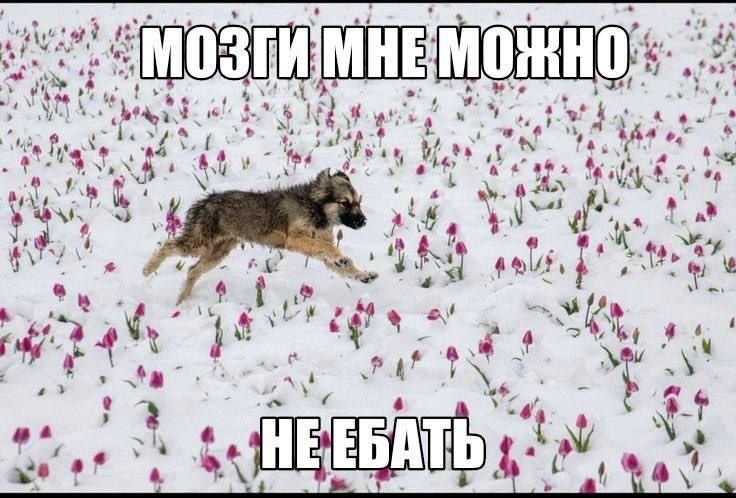 liffshu's tweet photo. https://t.co/ux626Awa0W