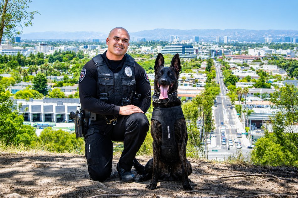 Culver_cityPD's tweet photo. PHOTO CAPTION: Culver City Police Department, CA – Officer Charles Crosby and K9 Kohu.  Photo courtesy of Tony.Shootz.

Culver City Police Department K9 team participated in national calendar to help protect law enforcement dogs.

Officer Charles Crosby and K9 Kohu appear in the 2027 Vested Interest in K9s, Inc. nationwide fundraising calendar.  Each year, twelve Law Enforcement K9s who are recipients of vests provided by the nonprofit organization are highlighted in the publication along with a memorial page paying tribute to the four-legged heroes who have passed. 

Calendars are available for purchase online for $20 plus shipping via the Vested Interest in K9s, Inc. website at https://t.co/J6ozm1UvUQ.  For additional information or mail orders contact (508) 824-6978.

All proceeds from the 2027 calendars will be used to provide equipment and services for law enforcement K9s nationwide. 

Vested Interest in K9s, Inc. has donated over 6,600 bullet and stab protective vests to law enforcement K9s in all 50 states at a value of over $6.9 million dollars.