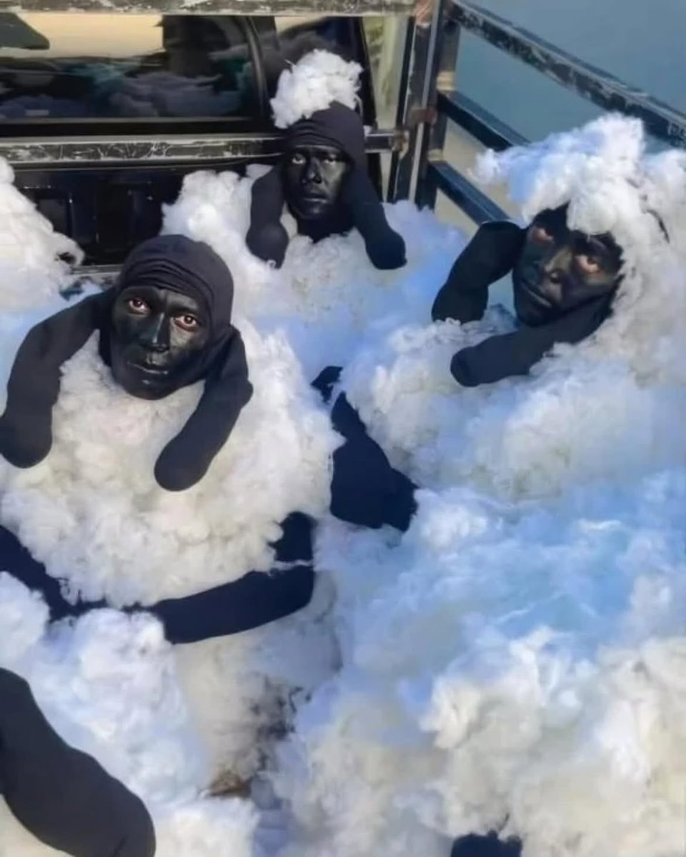 betaflyy's tweet photo. Three Nigerian men were arrested after allegedly trying to enter Spain dressed as sheep😂. https://t.co/w8KHNnLbFa