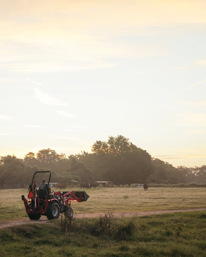 beartoothmhndra's tweet photo. Every great day starts here. Visit us today at  6900 S Frontage Rd, Billings, MT 59101 to start your day like this!
#MahindraTractors #MahindraTough
#OutworkingTheField
.
.
.
#Mahindra #BuiltLikeNothinElse #TractorPulling #Landscaping #FYP #NewBeginnings https://t.co/vy6fenHIXf