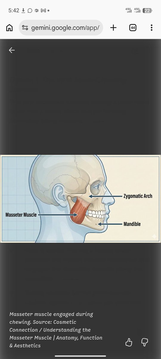 OldmanneverBA's tweet photo. Procedure 2: The Towel Jawline Method 

1: The Viral Towel-Chewing Exercise
This viral technique involves folding a clean hand towel into a dense stack and performing controlled biting motions.   

How does this work 
Masseter muscle engaged during chewing, AI generated
Masseter muscle engaged during chewing. Source: Cosmetic Connection
How it works: Placing a folded towel between the molars creates resistance that engages the masseter muscle along the mandible.   
jawliner

Safety caution: Dental professionals caution against aggressive jaw exercises. Overworking the masseter can trigger temporomandibular joint (TMJ) strain, uneven tooth wear, or masseter muscle hypertrophy—which can make the lower face appear wider or square rather than slim.