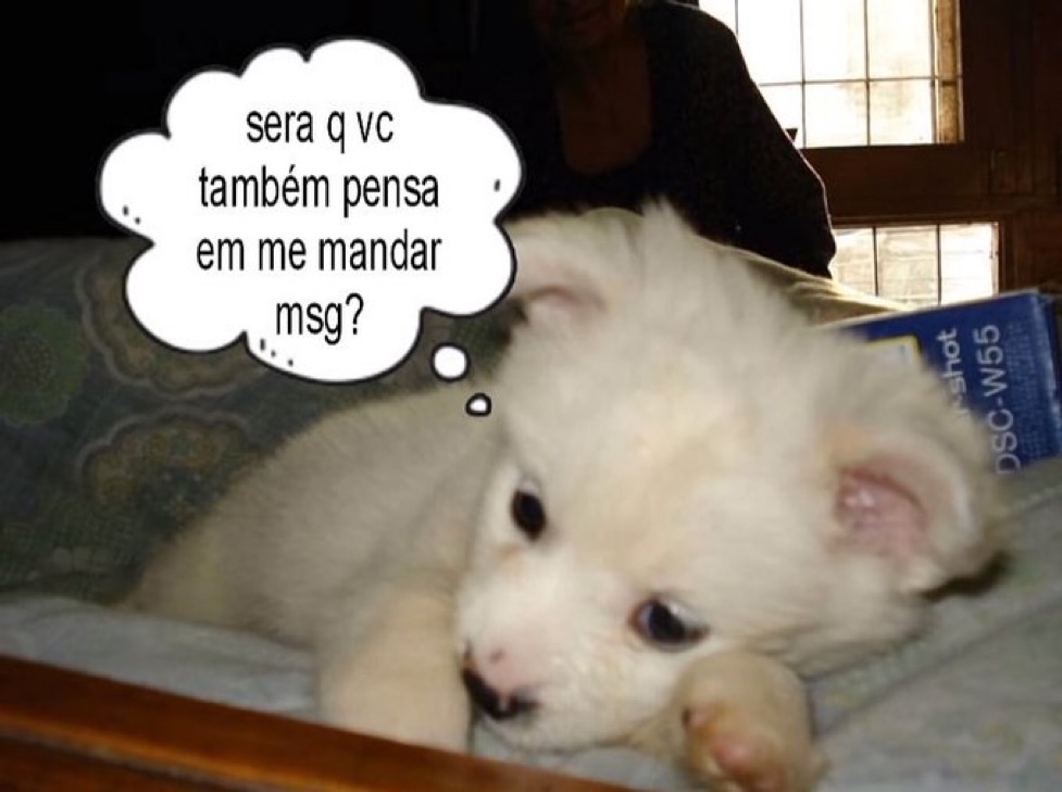 relacionemos's tweet photo. https://t.co/MMZLfWY68N